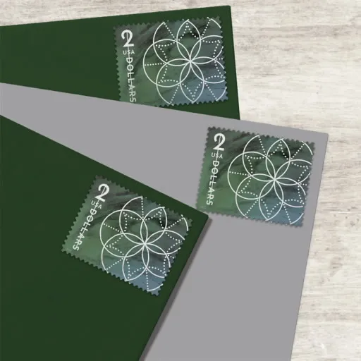 2-3 Floral Geometry Stamps