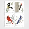 Birds_in_Winter_Stamps_1 Birds in Winter Stamps - Forever First Class Postage Stamps