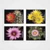 Cactus_Flowers_Stamps_1 Cactus Flowers Stamps - Forever First Class Postage Stamps