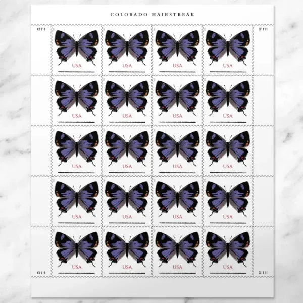 Colorado Hairstreak2 Colorado Hairstreak Stamps