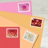 Dahlias Stamps - Forever First Class Postage Stamps