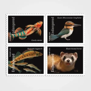 Endangered_Species_Stamps_1 Endangered Species Stamps - Forever First Class Postage Stamps
