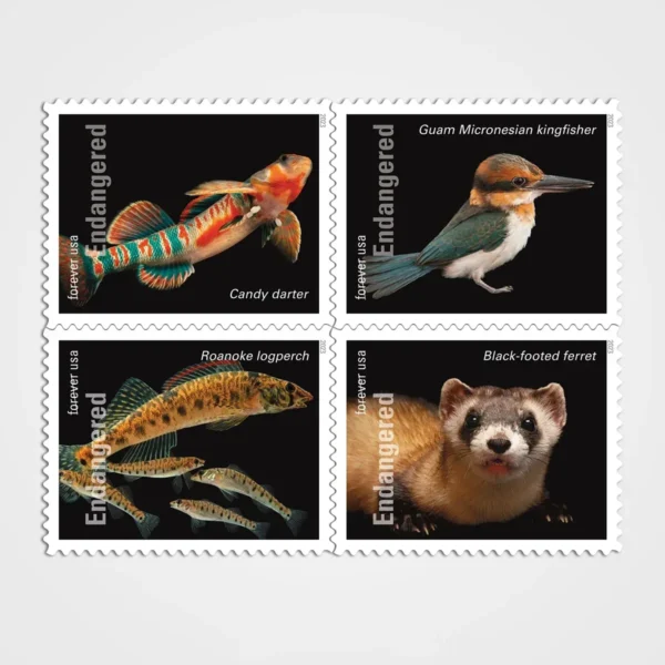 Endangered_Species_Stamps_1 Endangered Species Stamps - Forever First Class Postage Stamps