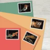 Endangered_Species_Stamps_2 Endangered Species Stamps - Forever First Class Postage Stamps