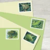 Frogs Stamps - Forever First Class Postage Stamps