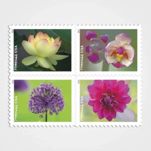 Garden_Beauty_Stamps_1 Garden Beauty Stamps - Forever First Class Postage Stamps