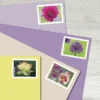 Garden Beauty Stamps - Forever First Class Postage Stamps