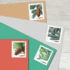 Holiday_Evergreens_Stamps_2 Holiday Evergreens Stamps - Forever First Class Postage Stamps