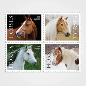 Horses_Stamps_1 Horses Stamps - Forever First Class Postage Stamps