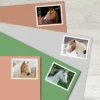 Horses_Stamps_2 Horses Stamps - Forever First Class Postage Stamps