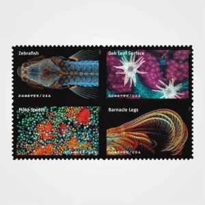 Life_Magnified_Stamps_1 Life Magnified Stamps - Forever First Class Postage Stamps