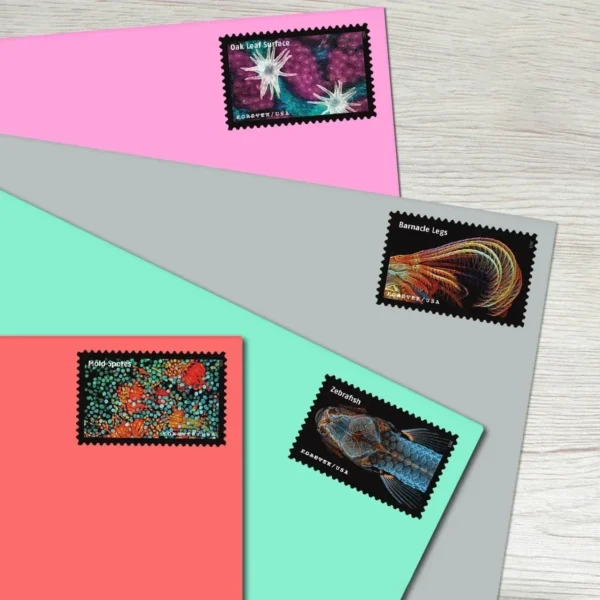 Life Magnified Stamps - Forever First Class Postage Stamps