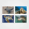Protect_Sea_Turtles_Stamps_1 Protect Sea Turtles Stamps - Forever First Class Postage Stamps