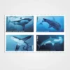 Sharks Stamps - Forever First Class Postage Stamps