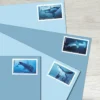 Sharks Stamps - Forever First Class Postage Stamps
