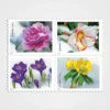 Snowy_Beauty_Stamps_1 Snowy Beauty Stamps - Forever First Class Postage Stamps