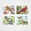 Songbirds_in_Snow_Stamps_1 Songbirds in Snow Stamps - Forever First Class Postage Stamps