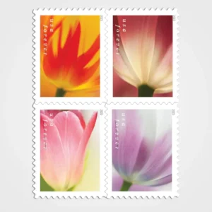 Tulip_Blossoms_Stamps_1 Tulip Blossoms Stamps - Forever First Class Postage Stamps