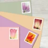 Tulip_Blossoms_Stamps_2 Tulip Blossoms Stamps - Forever First Class Postage Stamps