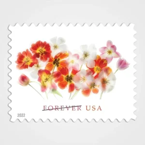 Tulips_Stamps_1 Tulips Stamps - Forever First Class Postage Stamps