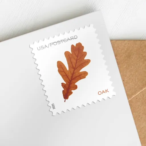 Vibrant Leaves Postcard Stamps