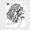 Vintage_Rose_Stamps_1 Vintage Rose Stamps - Forever First Class Postage Stamps