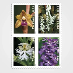 Wild_Orchids_Stamps_1 Wild Orchids Stamps - Forever First Class Postage Stamps