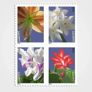 WinterFlowersStamps1 Winter Flowers Stamps - Forever First Class Postage Stamps