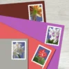 WinterFlowersStamps2 Winter Flowers Stamps - Forever First Class Postage Stamps