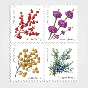 Winter_Berries_Stamps_1 Winter Berries Stamps - Forever First Class Postage Stamps