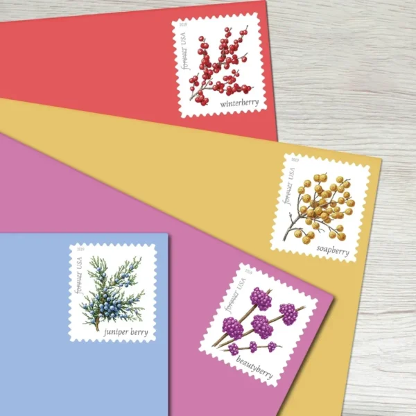 Winter_Berries_Stamps_2 Winter Berries Stamps - Forever First Class Postage Stamps