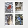 Winter_Scenes_Stamps_1 Winter Scenes Stamps - Forever First Class Postage Stamps