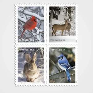 Winter_Scenes_Stamps_1 Winter Scenes Stamps - Forever First Class Postage Stamps