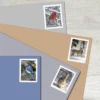 Winter_Scenes_Stamps_2 Winter Scenes Stamps - Forever First Class Postage Stamps
