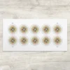 Global: 1794 Compass Rose Stamps